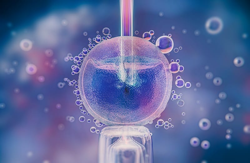 The Trail to Parenthood With IVF Good fortune – Your Scientific Prevent